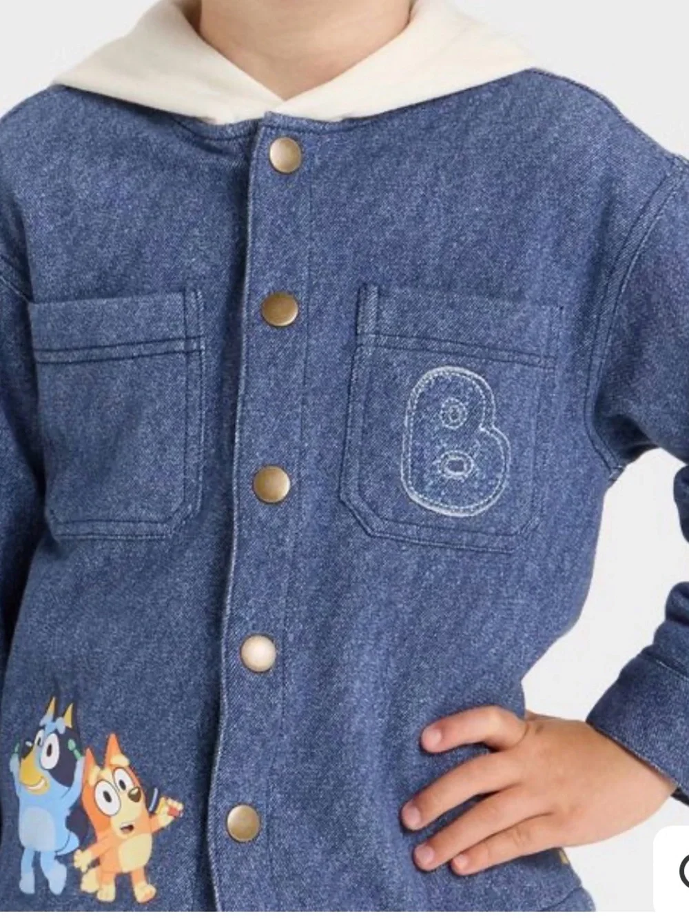 Bluey & Bingo Jacket NWT 2T